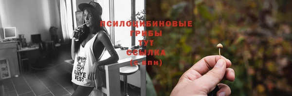 ECSTASY Алексин