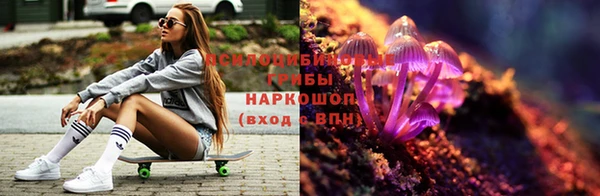 соль ск Абинск