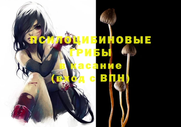 мет Рославль