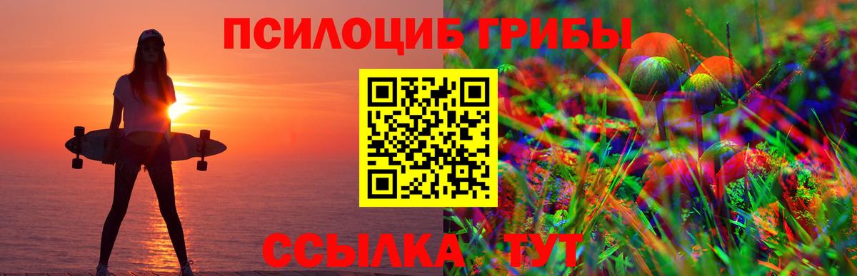 Псилоцибиновые грибы мицелий Искитим