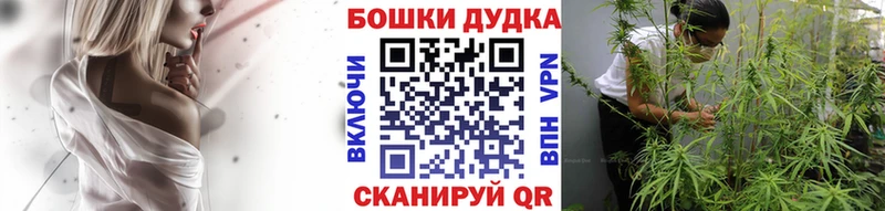 Бошки Шишки OG Kush Искитим